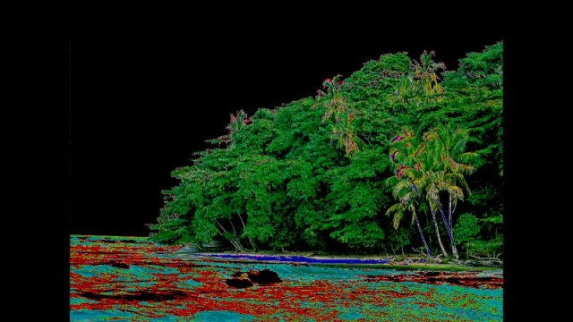 Unlocking the Secrets of RGB Channels for Enhanced Digital Experiences
